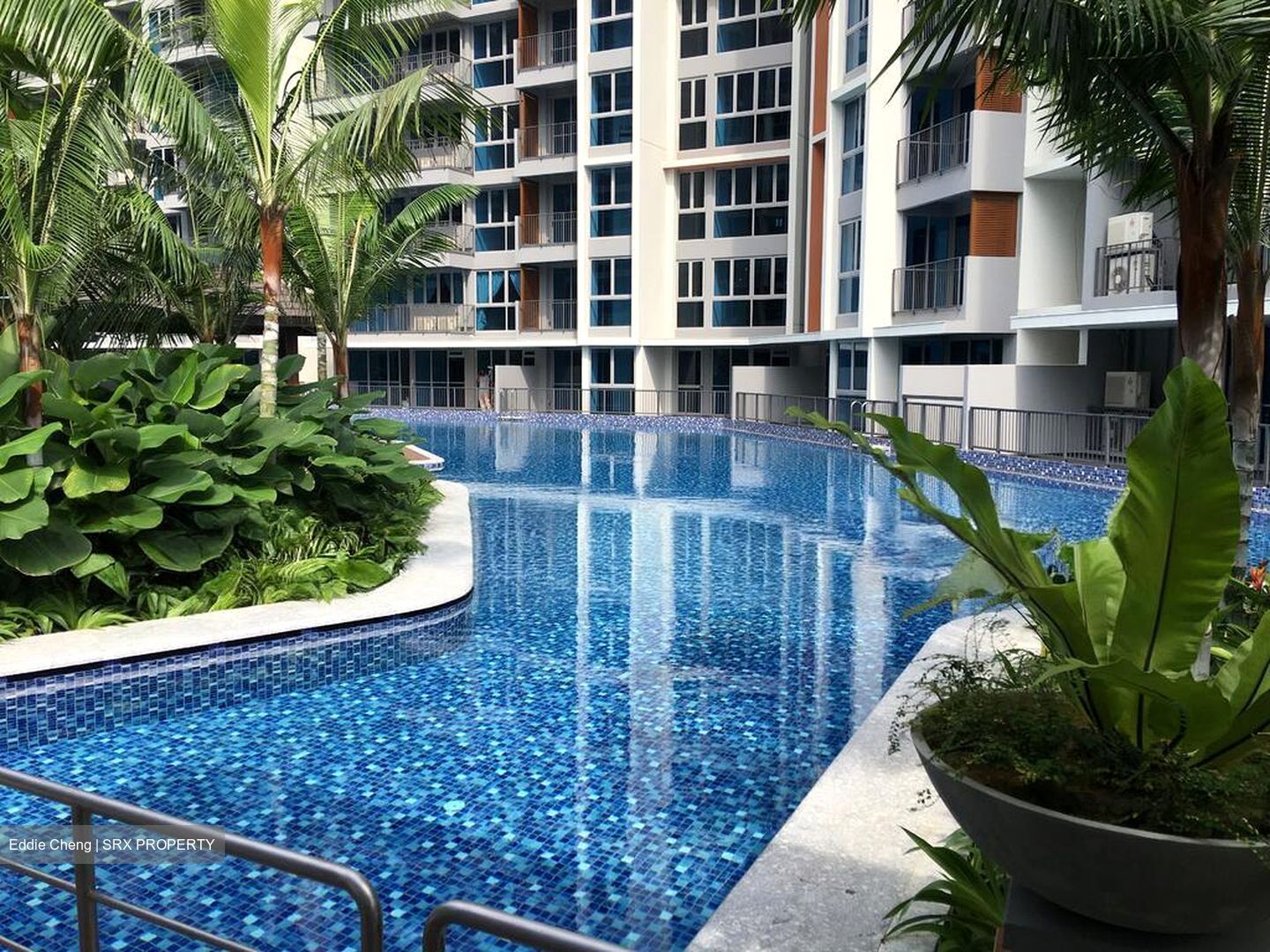 Q Bay Residences (D18), Condominium #502711911